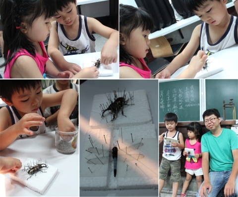 1022-08-10昆蟲標本DIY